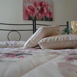 2* Casa de hóspedes La Camelia